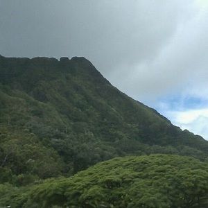 Meet your Posher, Lani